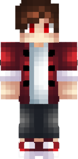 zakazFlekc