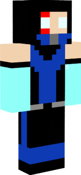 pcs mk armageddon skin sub zero