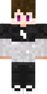 StryckSHW 3.0