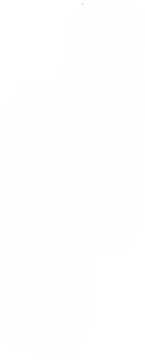 white fence