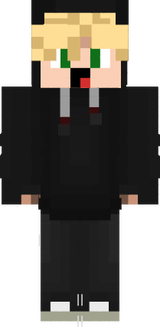 SkinVim