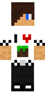 Minecraft lover