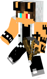skin