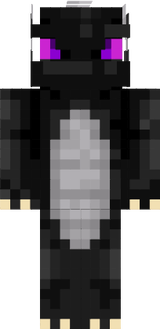 ENDER DRAGON