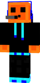 Minecraft Skin Entry