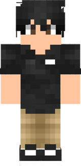 Skin preparada Para PVP