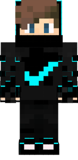 dminecraft skin