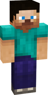 steve