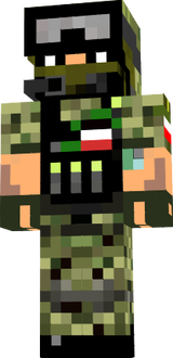 polska Conter Teorist
