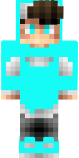 skin