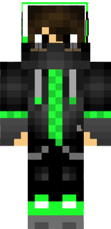 skin