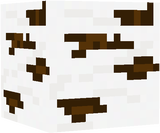 birch log