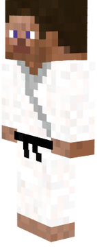 karate steve