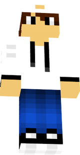 Mr.Steve