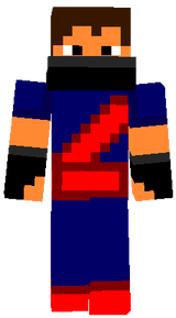 Craftronix 