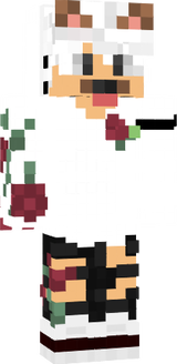 Nikolassalvs17