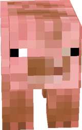fsdfgds