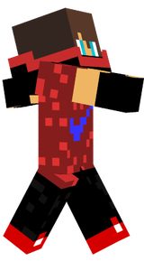 skin 