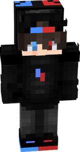 Minha_Skin.exe