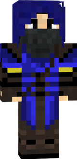 Ninja skin 1.6