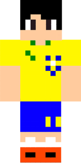 skin