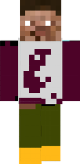 consta skin