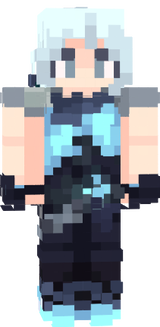 jet skin
