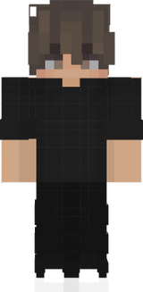 skinskin2329curr
