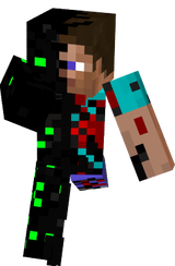 skin