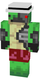 tarttruga atual