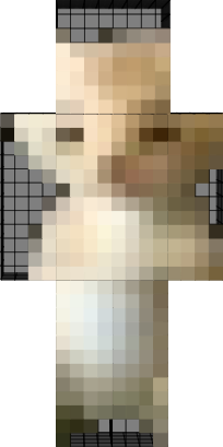 Preview of texture: p