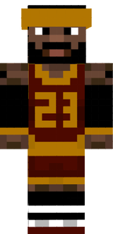 Lerbron Cavs