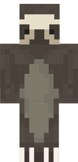 sloth