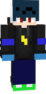 FLASH  BR100
