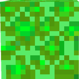lus