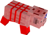 ima pig