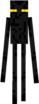 9th secret enderman