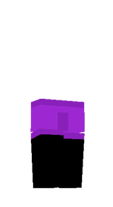 EndermanArmor