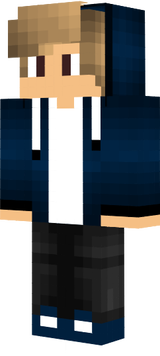 CrazyCrafter0411