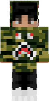steve