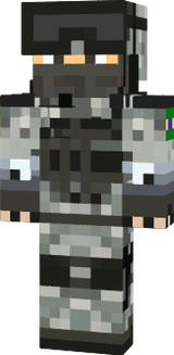 BR Soldier