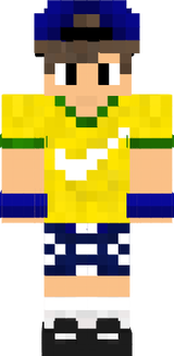 Copa do mundo