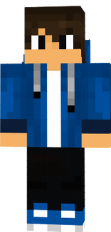 MC skin