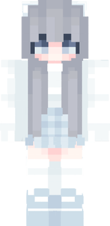 Craftsman skin
