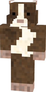 Guinea Pig