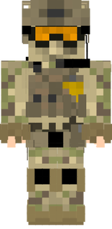 Armée de terre