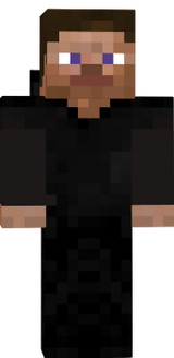 Steve with a hoodie II