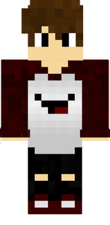 skin