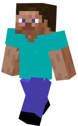 steve2