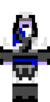 ninja assasin